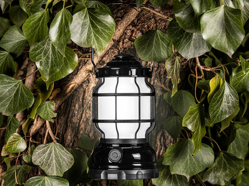 007f5ae5708c100e3001446bff09be9a