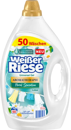 08484e318d7b99827db3c0e610a081e6