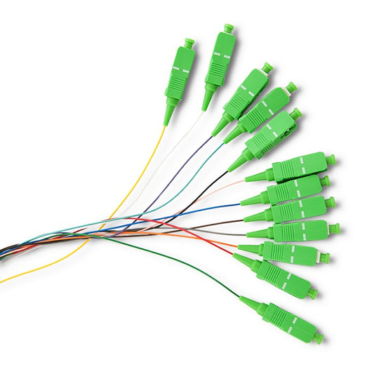 336fd9baf2e9452cd01c6722d42cc85b