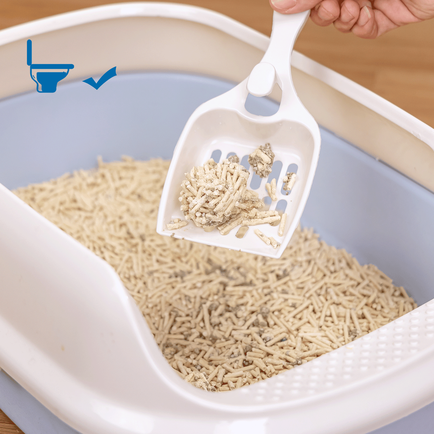 e2219e040989beb04cce84bdffd82646