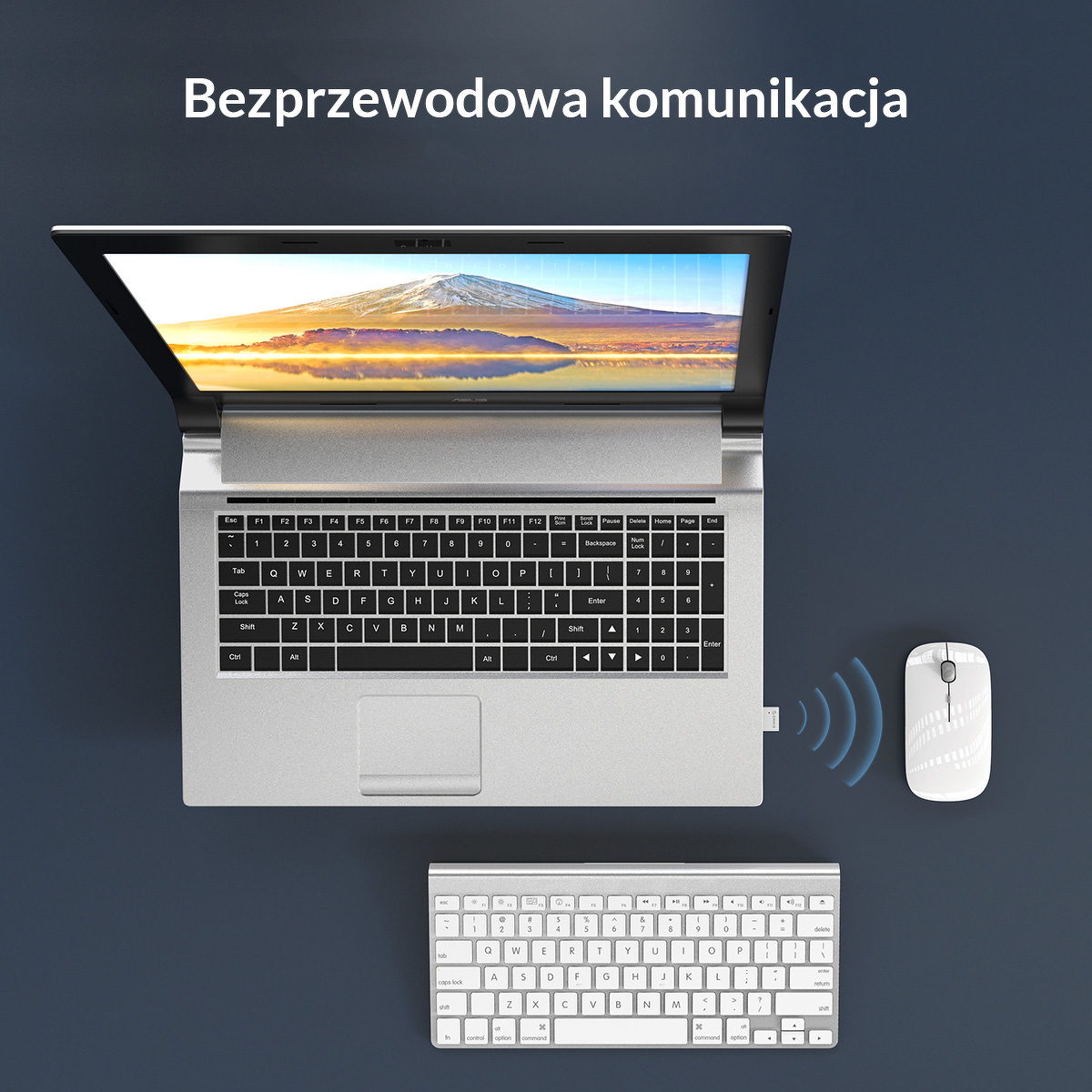 bb26771e1a32f295e086bcb464d5e190